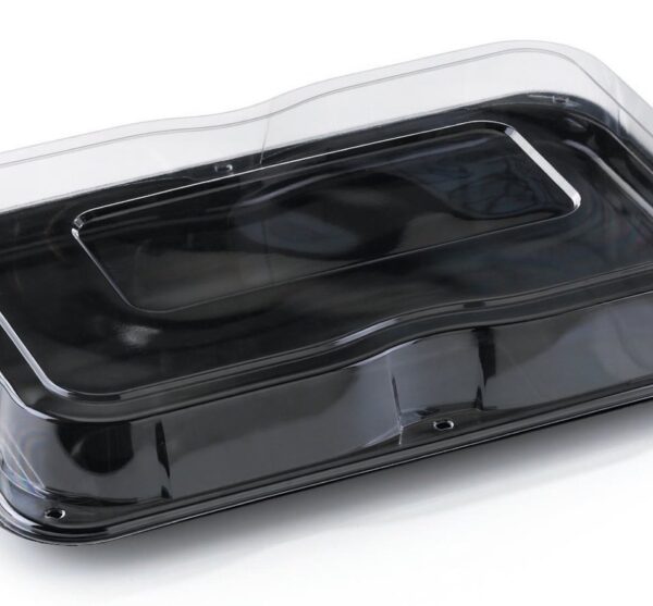Combo case Ultimate Platter 46x30cm + clear lid