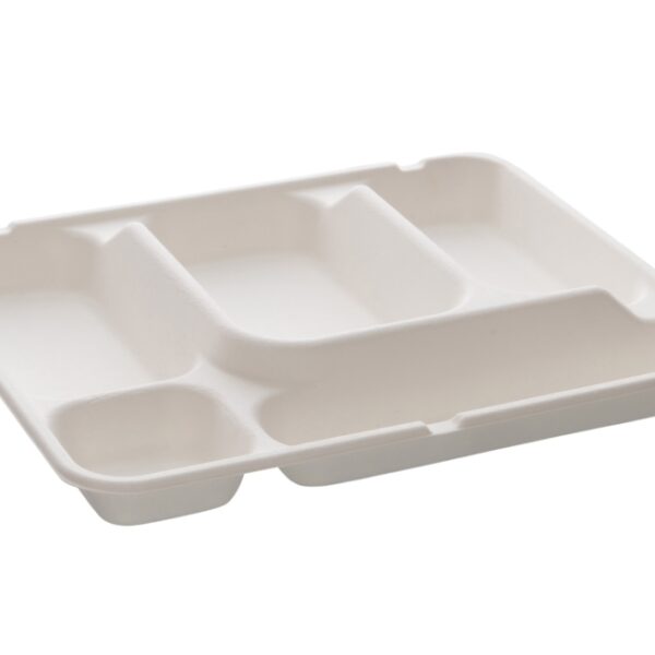 Rectangular platter 5 compartments 30x24cm