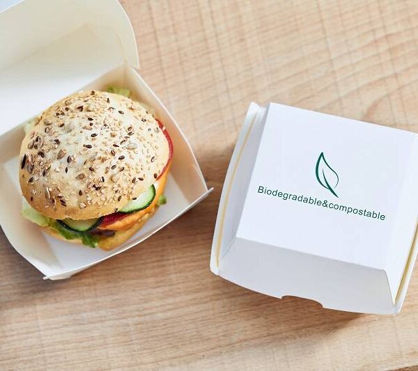 Hamburger box compostabile