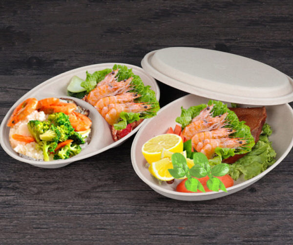 L'ambiente è una scatola环保便当盒