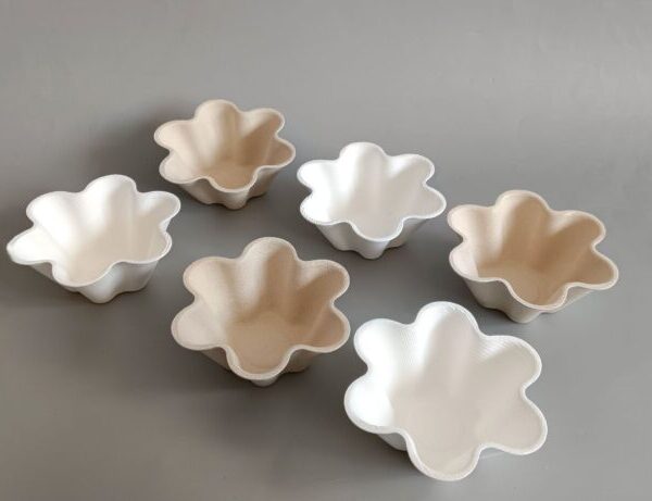 Tazza di gelato ecologico 环保冰淇淋杯