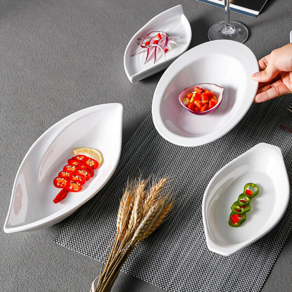 Piatto da pranzo餐盘