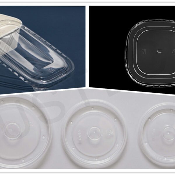Lids (PET/PP/PLA)